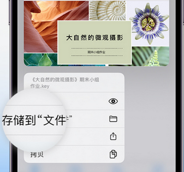 上街apple维修中心分享iPhone文件应用中存储和找到下载文件