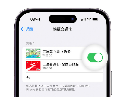 上街apple维修点分享iPhone上更换Apple Pay快捷交通卡手绘卡面 