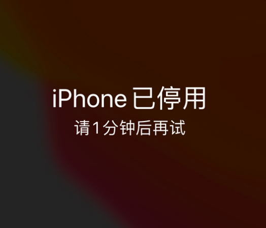 上街苹果手机维修分享:iPhone 显示“不可用”或“已停用”怎么办？还能保留数据吗？ 