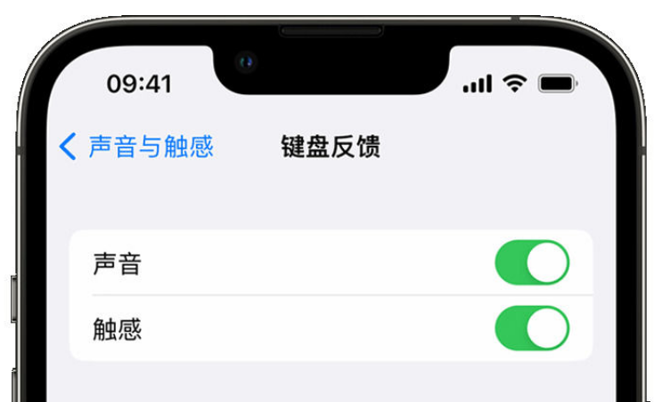 上街苹果手机维修分享iPhone 14触感键盘使用方法 