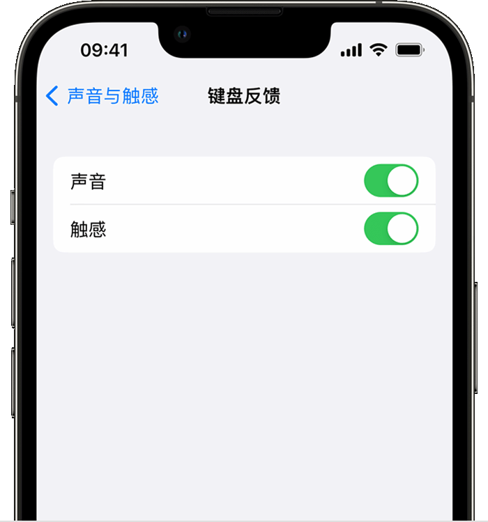 上街苹果14维修店分享如何在 iPhone 14 机型中使用触感键盘 