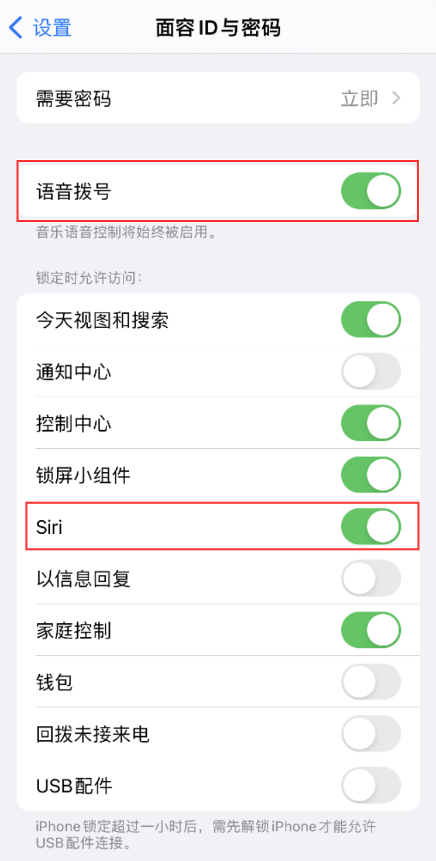 上街苹果维修网点分享不解锁 iPhone 的情况下通过 Siri 拨打电话的方法 