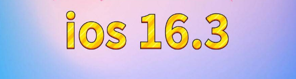 上街苹果服务网点分享苹果iOS16.3升级反馈汇总 