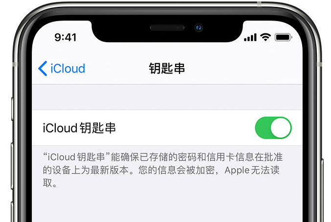 上街苹果手机维修分享在 iPhone 上开启 iCloud 钥匙串之后会储存哪些信息 