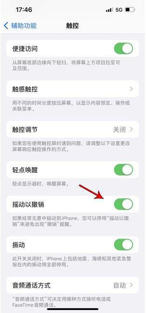 上街苹果手机维修分享iPhone手机如何设置摇一摇删除文字 